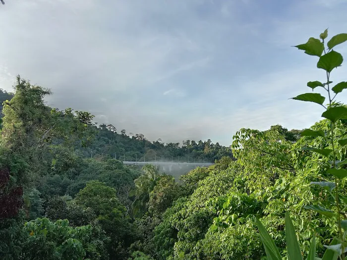 Bukit Kuari MTB Trail Rawang Perdana Picture 2