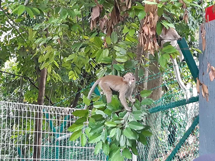 KL Forest Eco Park Picture 9