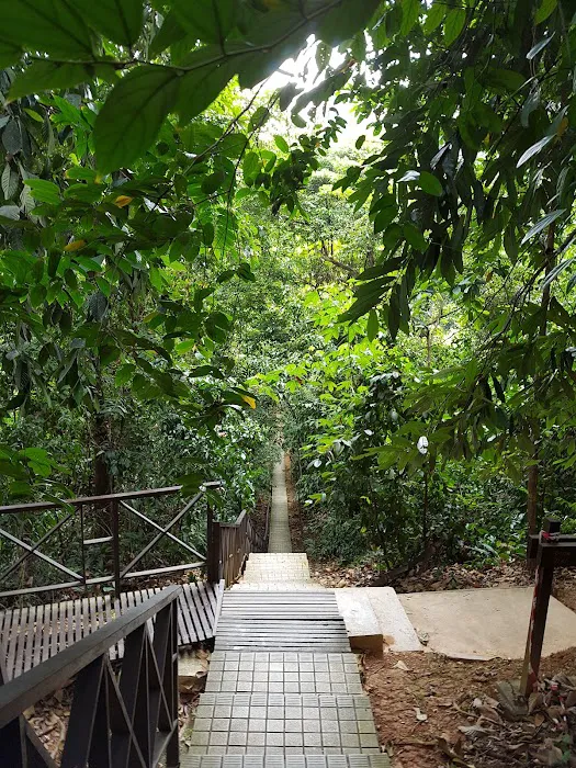 KL Forest Eco Park Picture 7