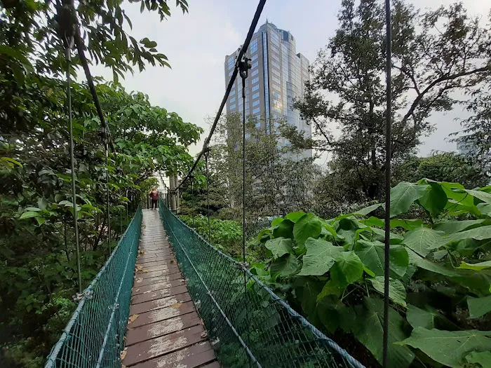 KL Forest Eco Park Picture 6