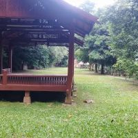 KL Forest Eco Park ico