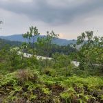 Rawang Bypass Hiking Trailhead