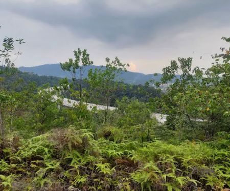Rawang Bypass Hiking Trailhead