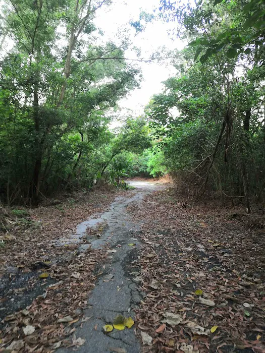 Rawang Bypass Hiking Trailhead Picture 6
