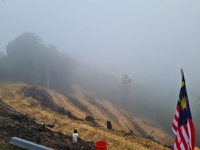 Kebun Benik Ejen Hartanah Picture 2