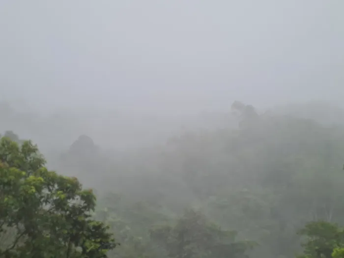 Kebun Benik Ejen Hartanah Picture 1