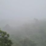 Kebun Benik Ejen Hartanah