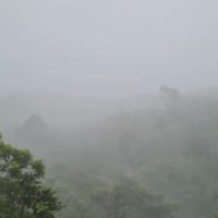 Kebun Benik Ejen Hartanah ico