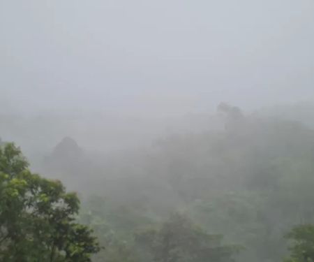 Kebun Benik Ejen Hartanah