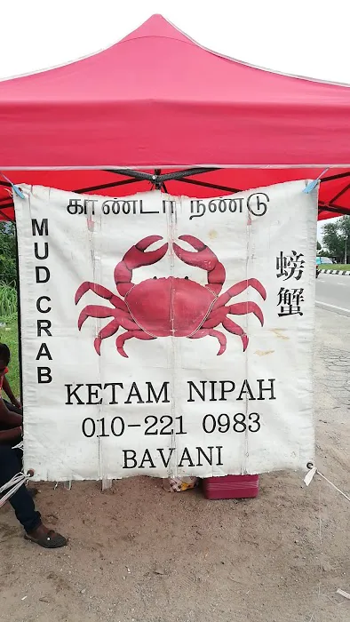 Nasi Kerabu Kubo Picture 9