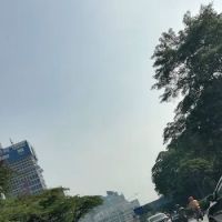 Istana Terengganu ico