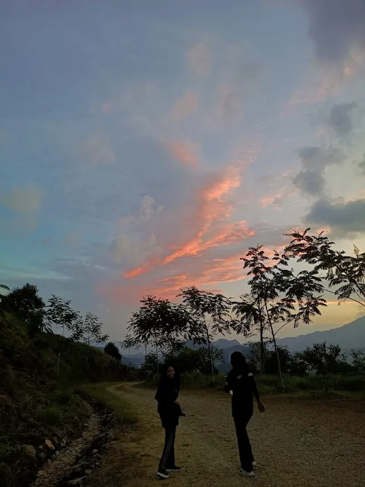 Bukit Bandar Utama Picture 8
