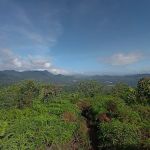 Hill summit