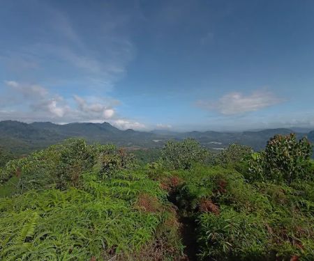 Hill summit