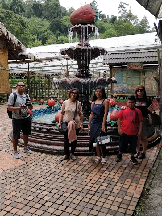 KL Transportation & Tour Services Picture 3