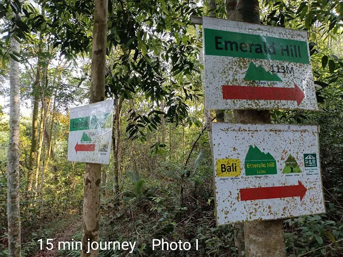 Emerald Hiking Spot Picture 6