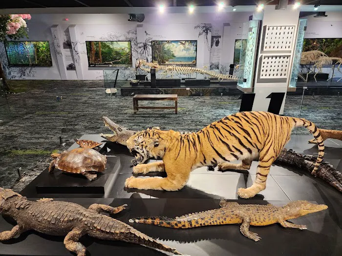Sultan Alam Shah Museum Picture 8