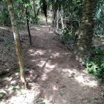 Geng Adik Trails