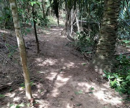 Geng Adik Trails