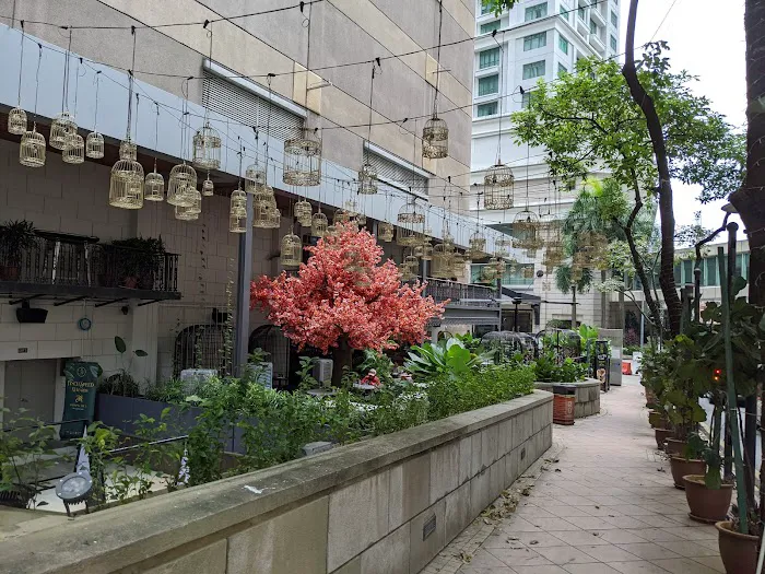 Finch KL Picture 5