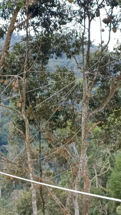 K&K Durian hill villa Picture 2