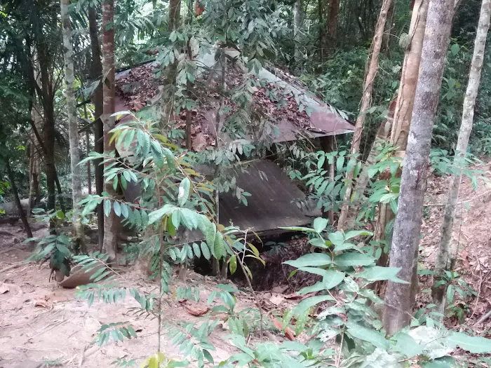 Kesyar Falls Eco Sanctuary Picture 8