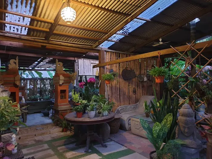 Rainforest Garden Picture 9