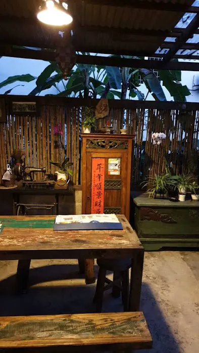 Rainforest Garden Picture 1