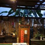Rainforest Garden