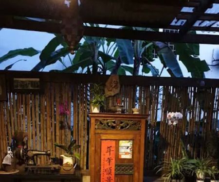 Rainforest Garden