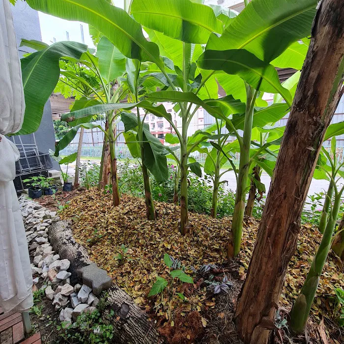 Garden Keeper Picture 8