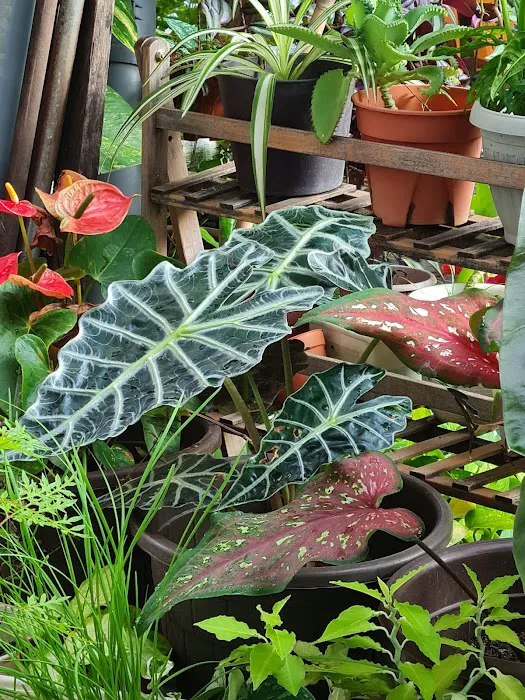 Garden Keeper Picture 6
