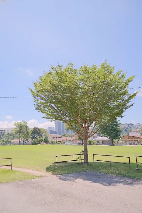 The Park Kuala Ampang 淡江新村草場 Picture 10