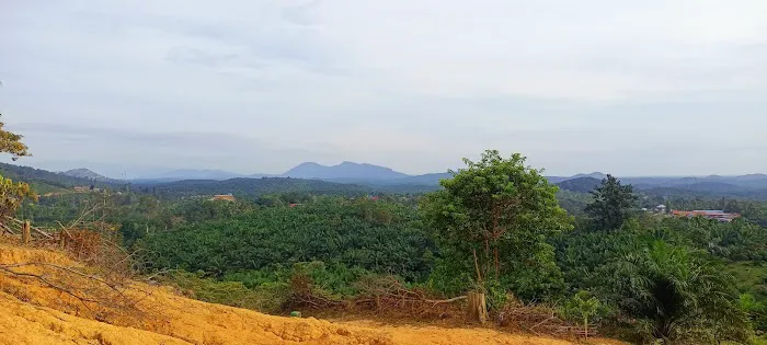 Bukit kemasul hiking area Picture 1