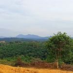 Bukit kemasul hiking area
