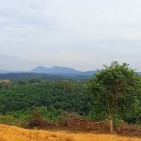 Bukit kemasul hiking area ico