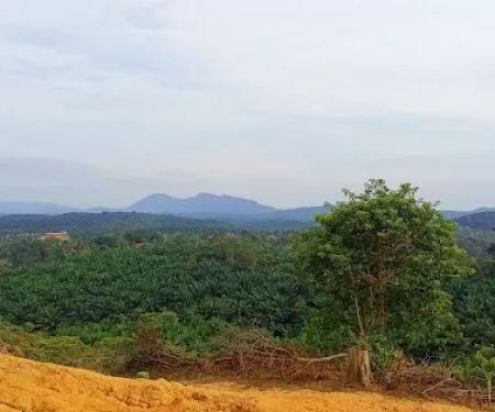 Bukit kemasul hiking area