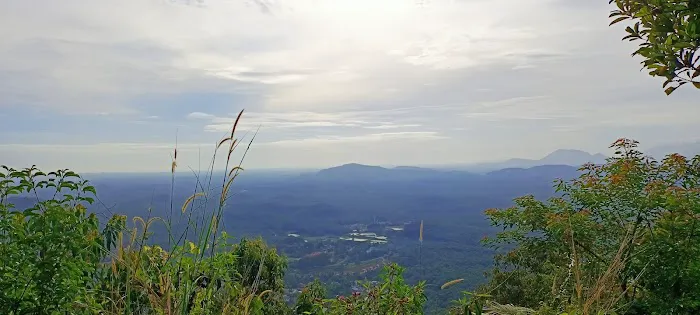 Bukit kemasul hiking area Picture 3
