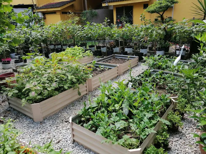 KEBUN KOMUNITI FLAT AU1B Picture 2