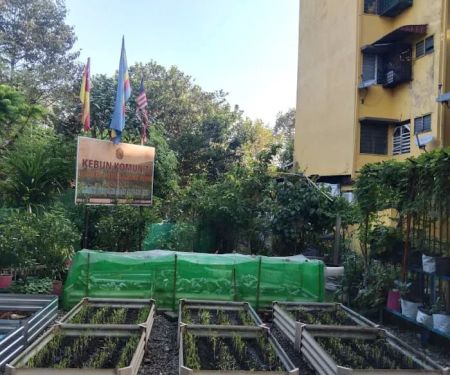 KEBUN KOMUNITI FLAT AU1B