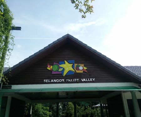 Selangor Fruit Valley (SFV)