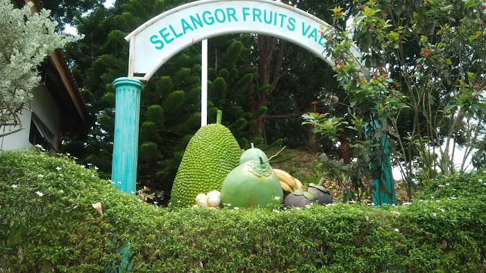 Selangor Fruit Valley (SFV) Picture 2