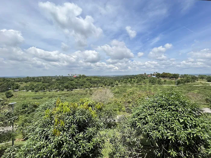 Selangor Fruit Valley (SFV) Picture 5