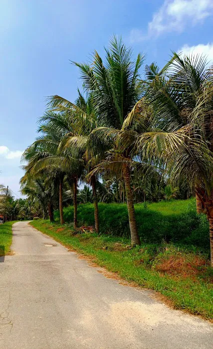 Selangor Fruit Valley (SFV) Picture 8