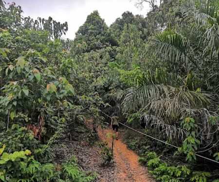 Bukit Senorang (Tapak mula laluan mendaki)