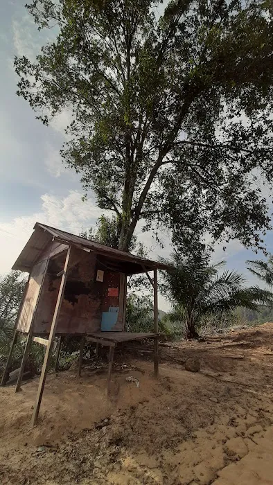 Bukit Senorang (Tapak mula laluan mendaki) Picture 7