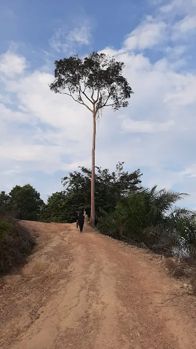 Bukit Senorang (Tapak mula laluan mendaki) Picture 4
