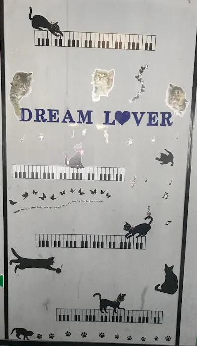 Dream Lover Music Cafe 我们不一样酒廊 Picture 9