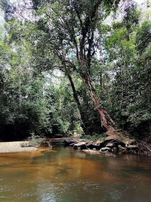 Taman Negara Sungai Relau Picture 5