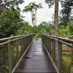 Taman Negara Sungai Relau
